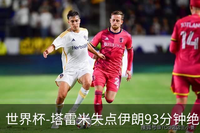 世界杯-塔雷米失点伊朗93分钟绝杀球被吹 埃及1-1获小组第二